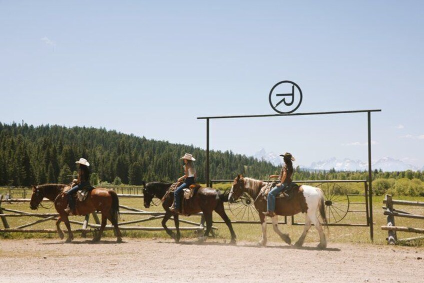 Jackson Hole Horseback Riding & Lunch in Bridger Teton NF 1