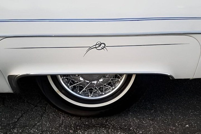 Classic Cadillac Limo Elopement Wedding and Tour 5