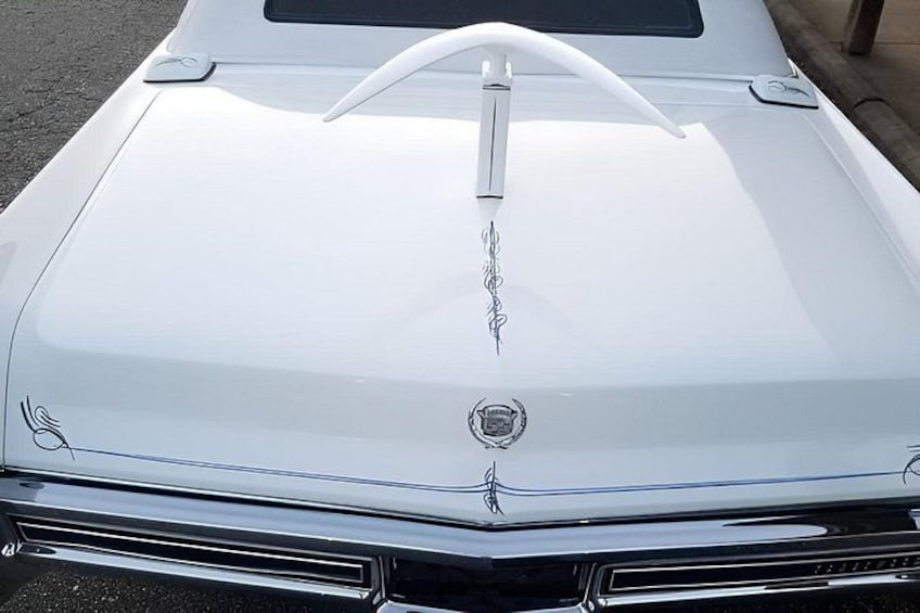 Classic Cadillac Limo Elopement Wedding and Tour 4