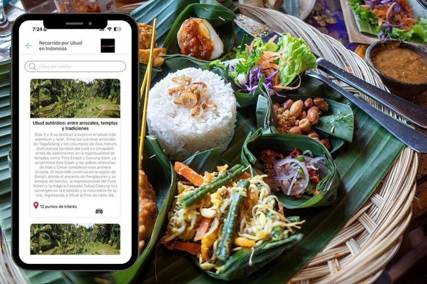 En traditionel indonesisk ret med ris, grøntsager og en smartphone, der viser en rejseartikel. 4
