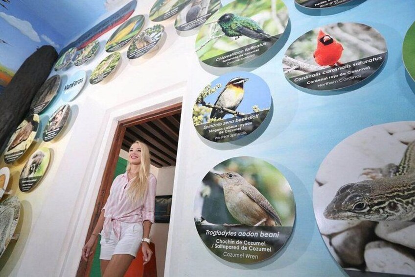 Un museo con exhibiciones de aves y una persona de pie en la entrada. 3