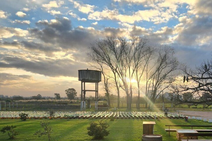 Montevideo Bodega Santa Rosa : tour - Tasting - Lunch 2