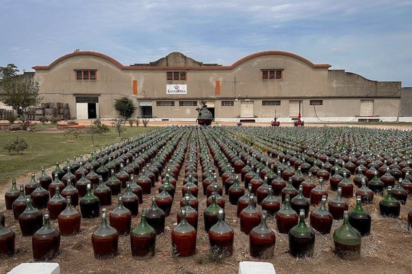 Montevideo Bodega Santa Rosa : tour - Tasting - Lunch 3