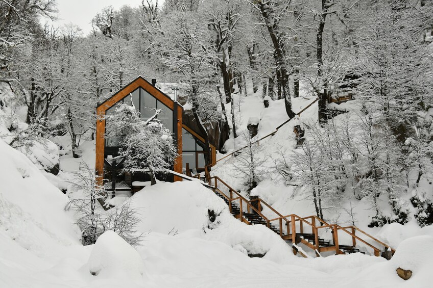 A snow-covered wooden staircase leading to a glass-roofed cabin in a forest. 4
