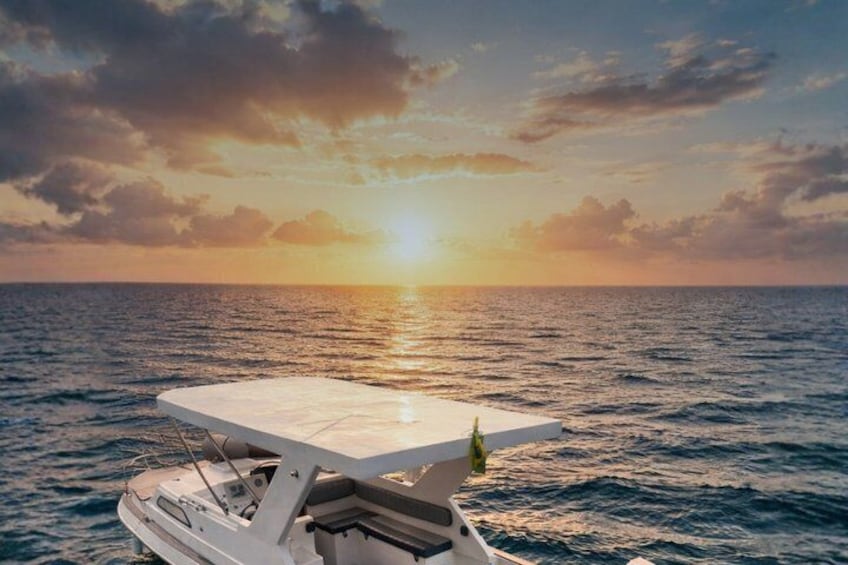 A boat with a white deck and a green plant on it, sailing on the ocean with a sunset in the background. 1