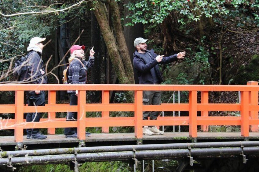 Kyoto Private Hiking Tour: Ancient Trails of Kurama and Kibune 4
