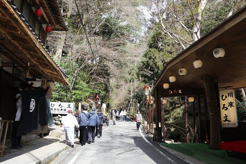 Kyoto Private Hiking Tour: Ancient Trails of Kurama and Kibune 5