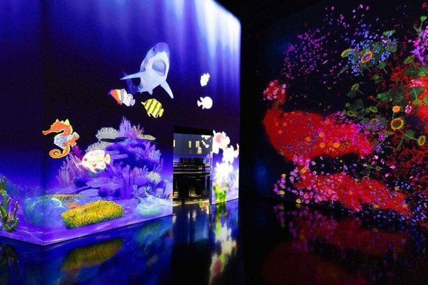 A colorful aquarium with various fish and sea creatures, a seahorse, and a coral reef. 3