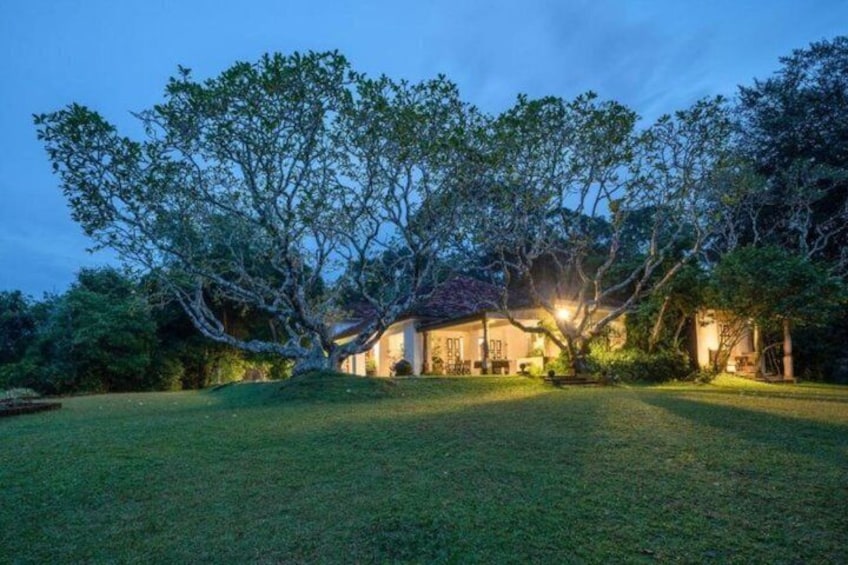Una casa rodeada de árboles al anochecer. 1