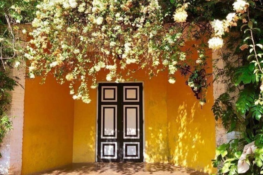 Un mur jaune avec une porte noire, entouré de fleurs blanches. 1