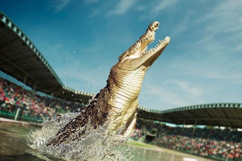 Australia Zoo Day Trip from Noosa Entry Ticket Included 1