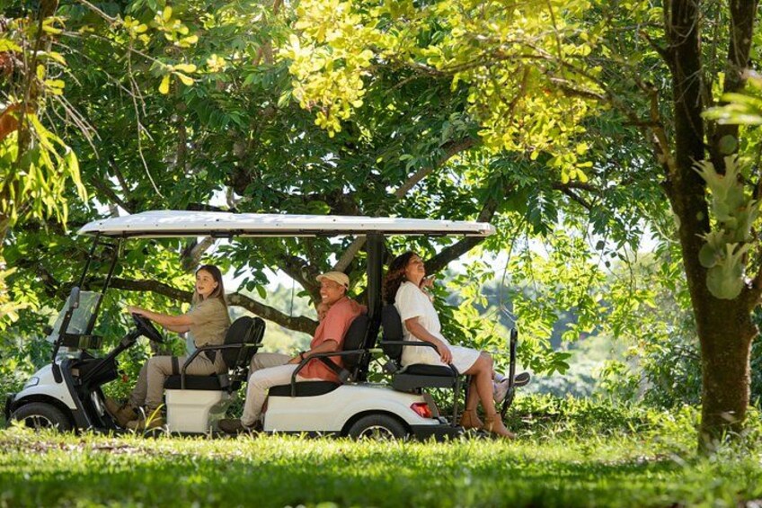 Australia Zoo Day Trip from Noosa Entry Ticket Included 5