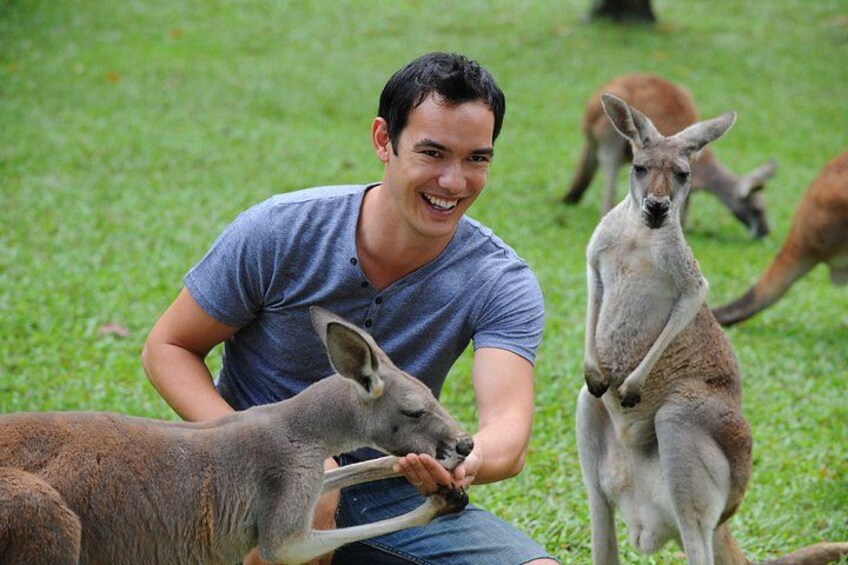 Australia Zoo Day Trip from Noosa Entry Ticket Included 2