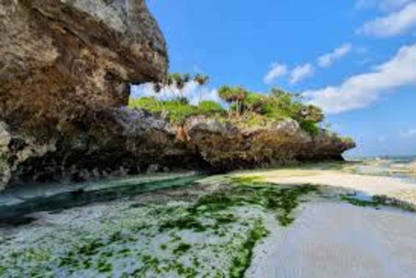 A coastal landscape with a sandy beach, a rocky cliff, and sparse vegetation. 5