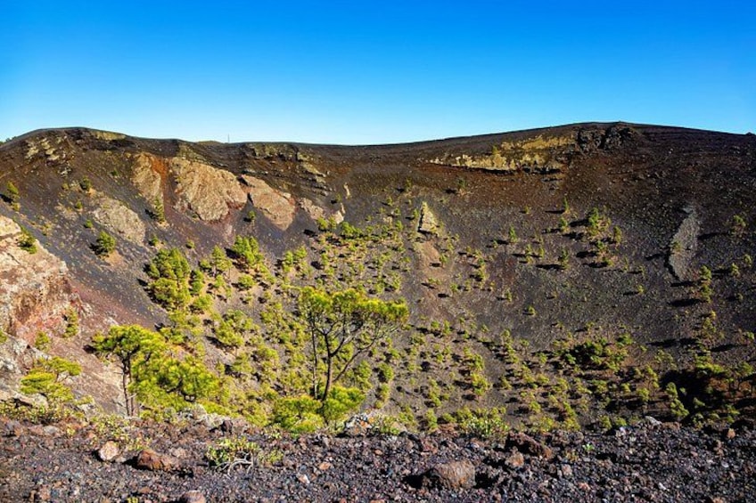 A volcanic landscape with sparse vegetation and rocky terrain. 3