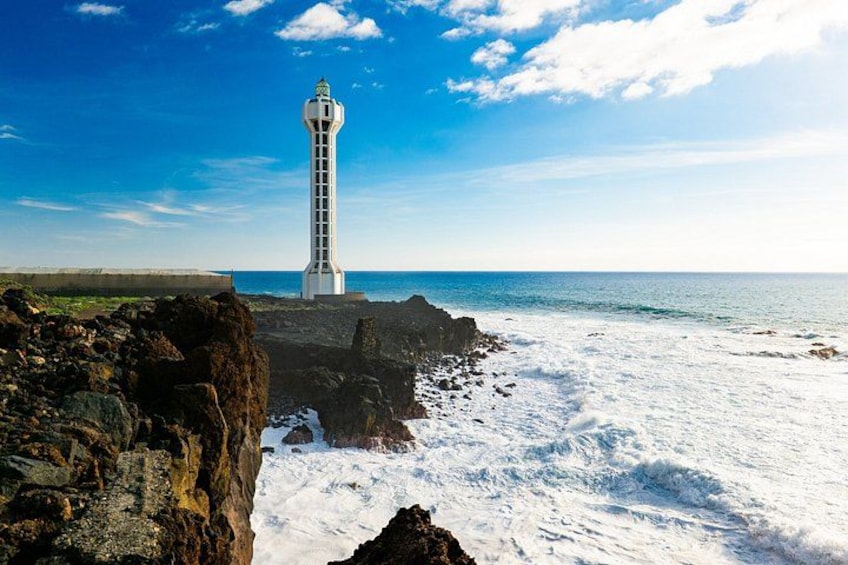 Half-Day Private Shore Tour to La Palma Volcanoes 4