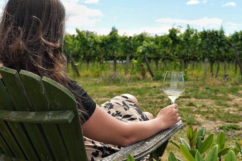 Wanaka Wine Tours Quintessential Wanaka Tour 5