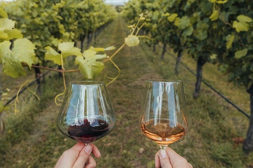 Wanaka Wine Tours Quintessential Wanaka Tour 2