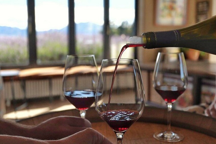 Wanaka Wine Tours Quintessential Wanaka Tour 4