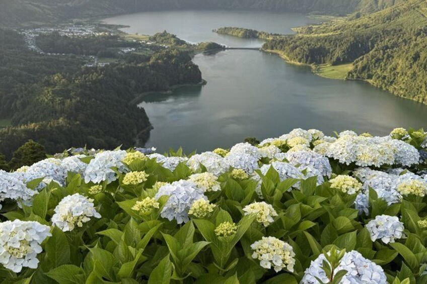 En sø omgivet af grønt og hvide blomster i forgrunden. 4