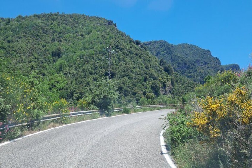 Eine kurvenreiche Straße durch ein bewaldetes Gebiet mit Hügeln im Hintergrund. 5