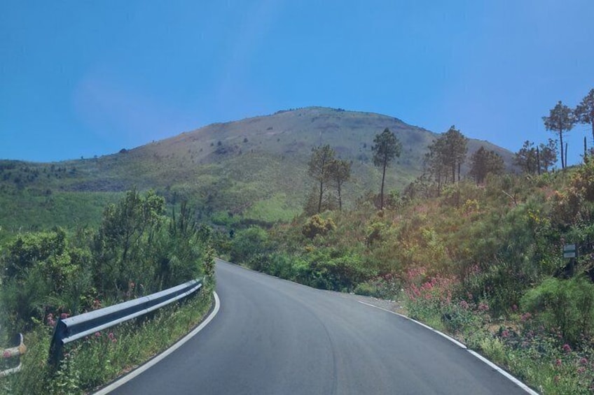Eine kurvenreiche Straße mit Schutzplanken, umgeben von Grün und einem Hügel im Hintergrund. 3