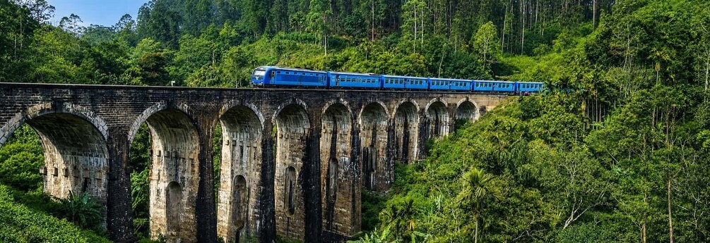 A blue train traveling across an old stone bridge surrounded by lush greenery. 2