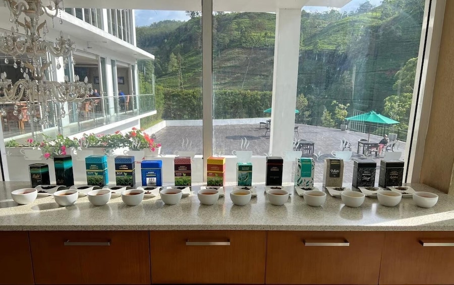 A coffee tasting setup with various coffee beans and cups on a counter by a window overlooking a garden. 5