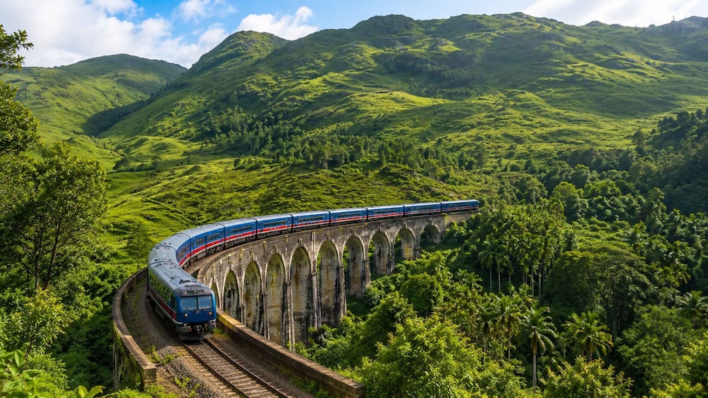 A train traveling through a lush green valley with a stone viaduct. 4