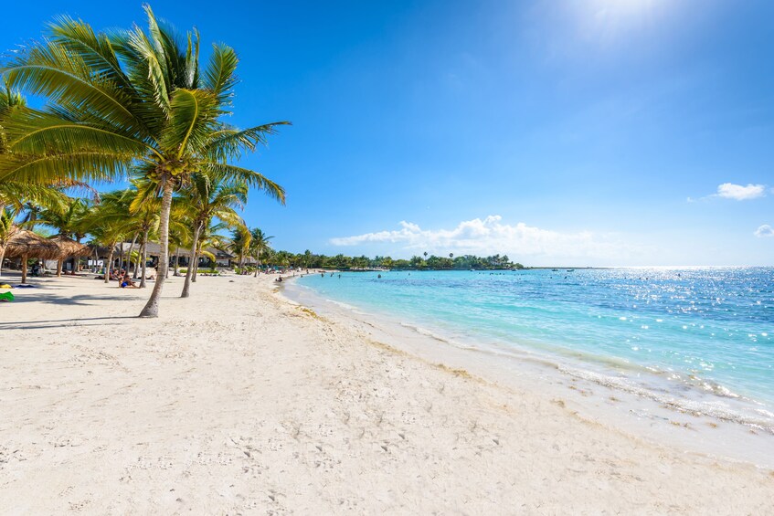 A beach with white sand, palm trees, and clear blue water. 5