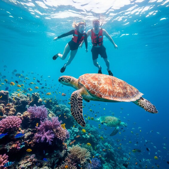Two people scuba diving with a sea turtle swimming nearby. 1
