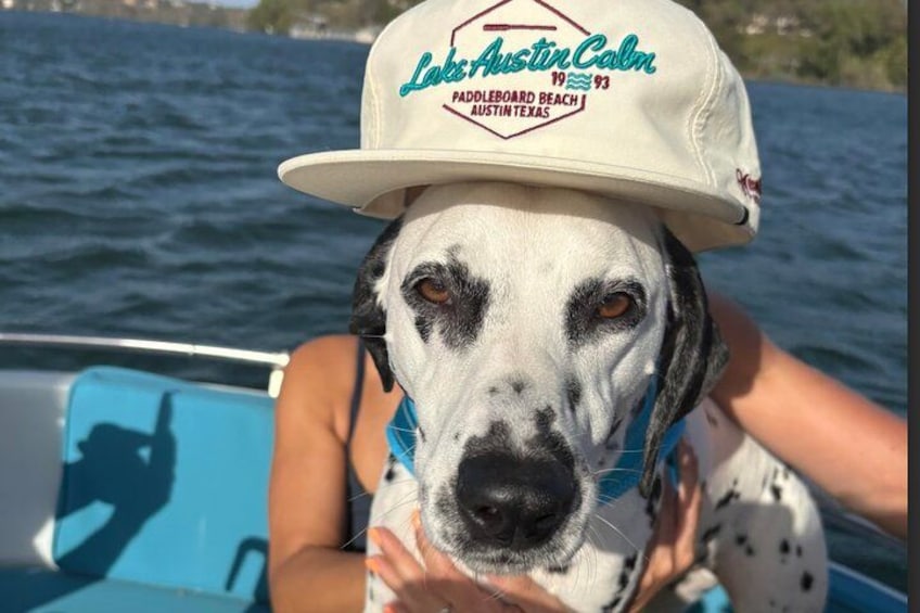 Een hond met een hoed op een boot. 2