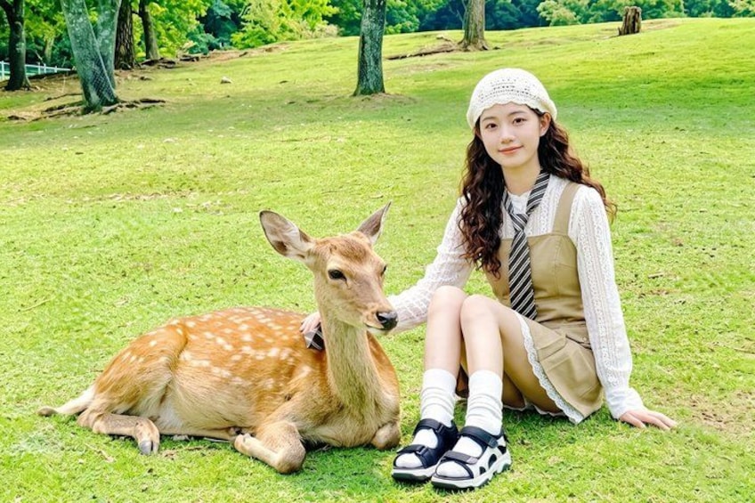A person sitting on grass with a deer. 1