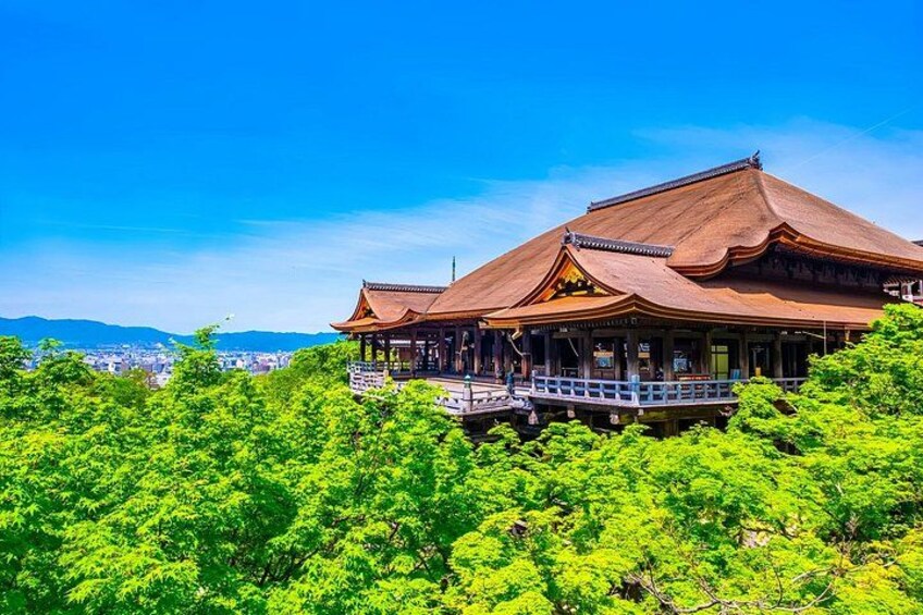 A traditional wooden building with a curved roof, surrounded by lush green trees. 5