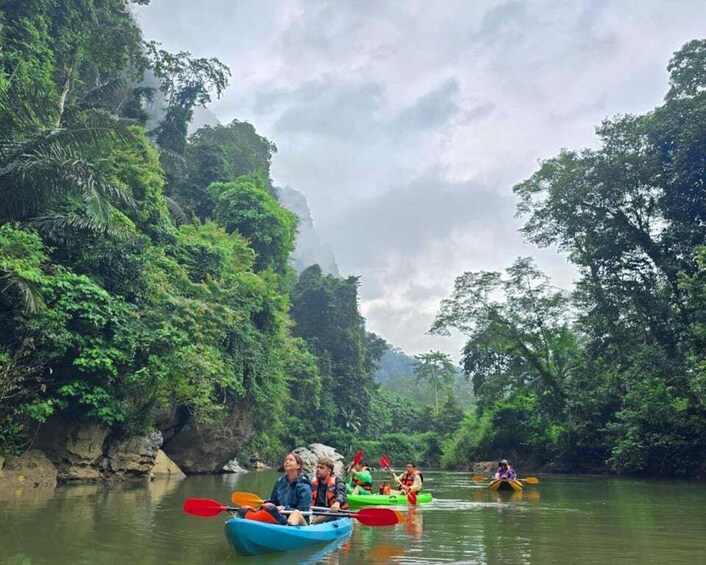 People kayaking on a river surrounded by dense forest. 1