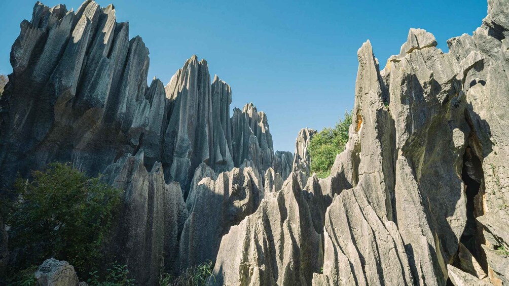 A rugged limestone cliff formation with vertical striations and sparse vegetation. 3