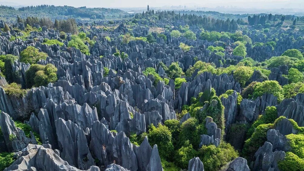 A landscape of tall, narrow rock formations surrounded by dense green foliage. 1