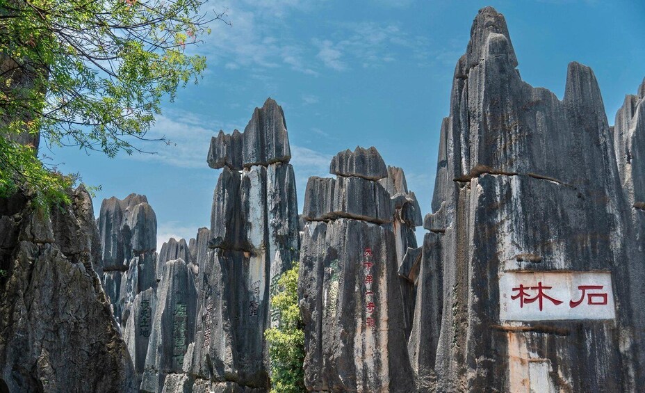 Tall, narrow rock formations with inscriptions, surrounded by trees. 2