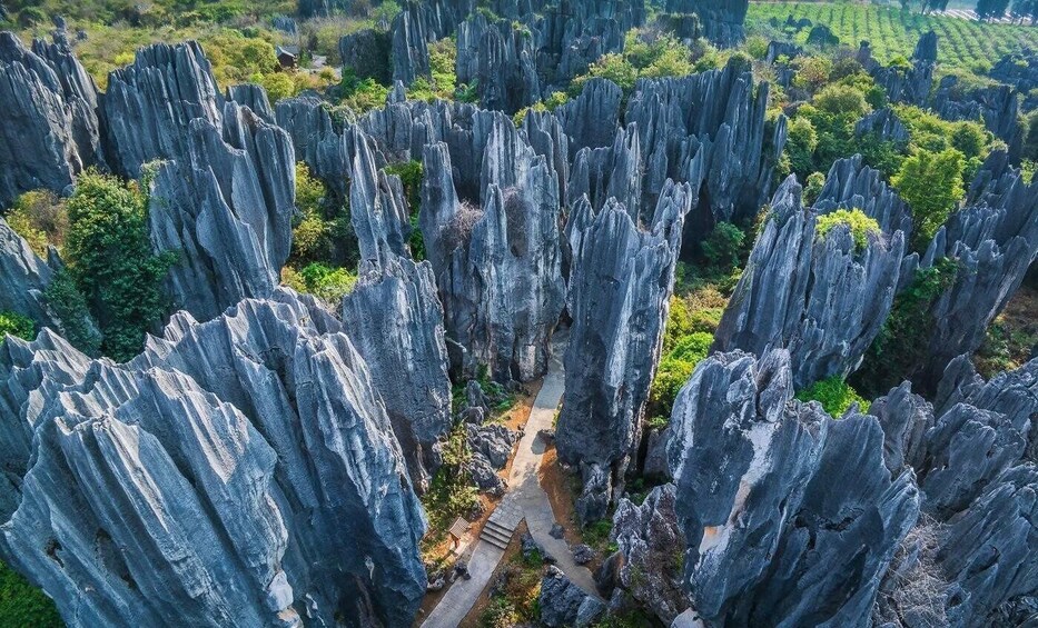 A forested landscape with tall, narrow rock formations and a narrow path. 4