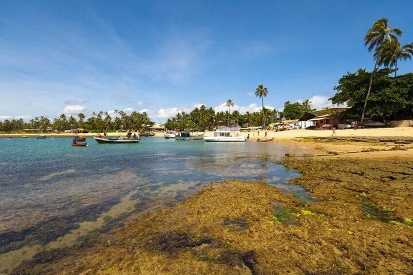 Forte Beach and Guarajuba 2
