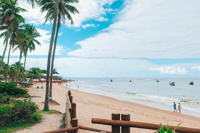 Forte Beach and Guarajuba 3
