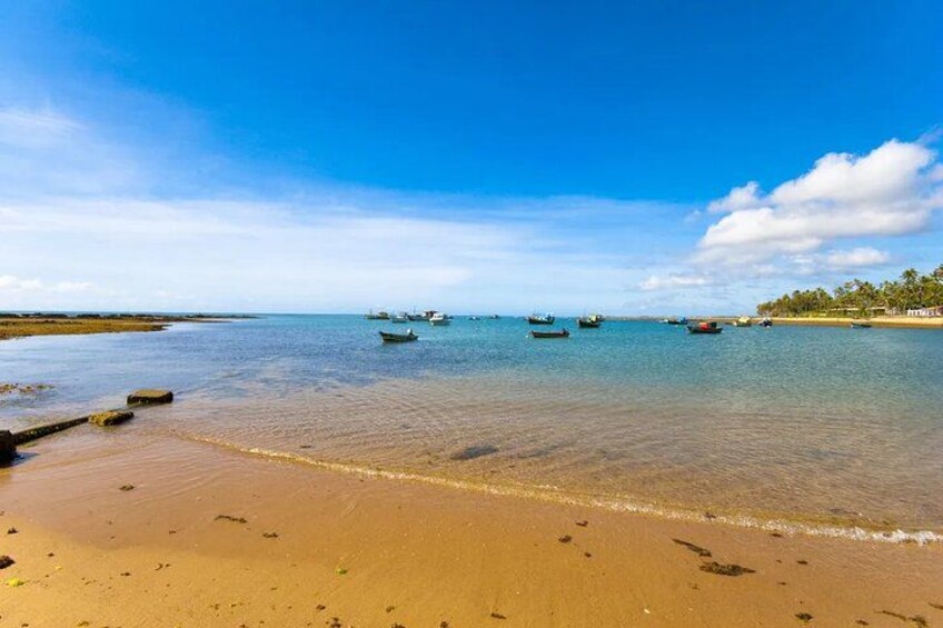 Forte Beach and Guarajuba 5
