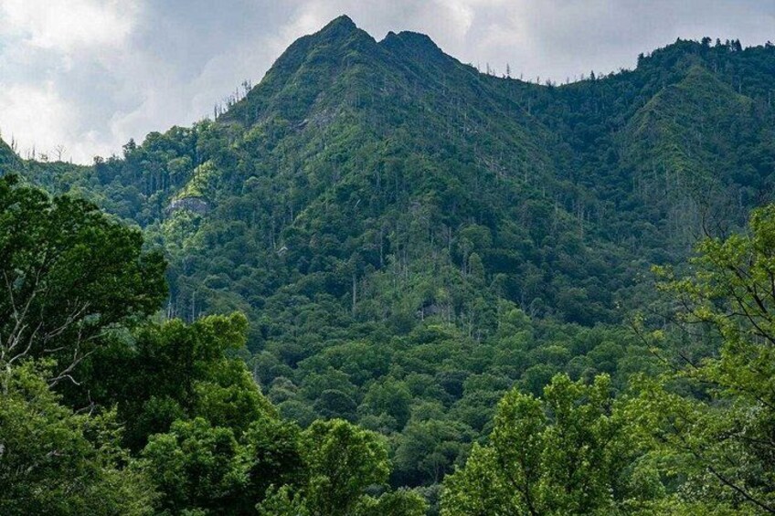 Mystras and Sparta Day Trip Explore Greece Heritage 2