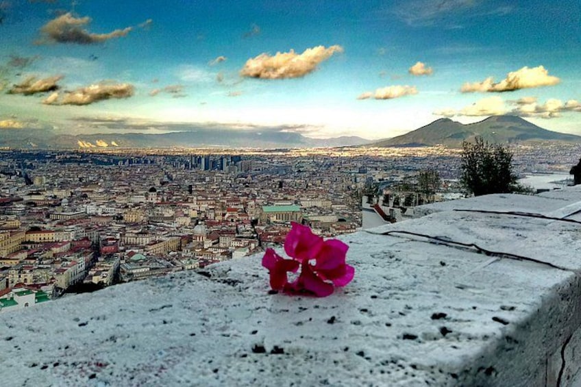 Ett snöigt landskap med en rosa blomma, en stadsbild och ett berg i bakgrunden. 1