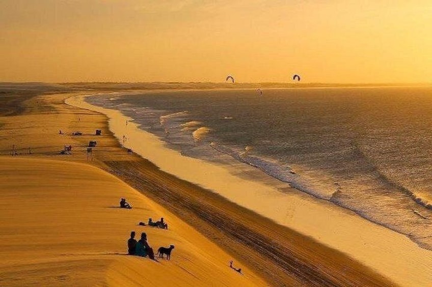 Een strand met mensen en honden, een zandstrand en een rustige zee. 2