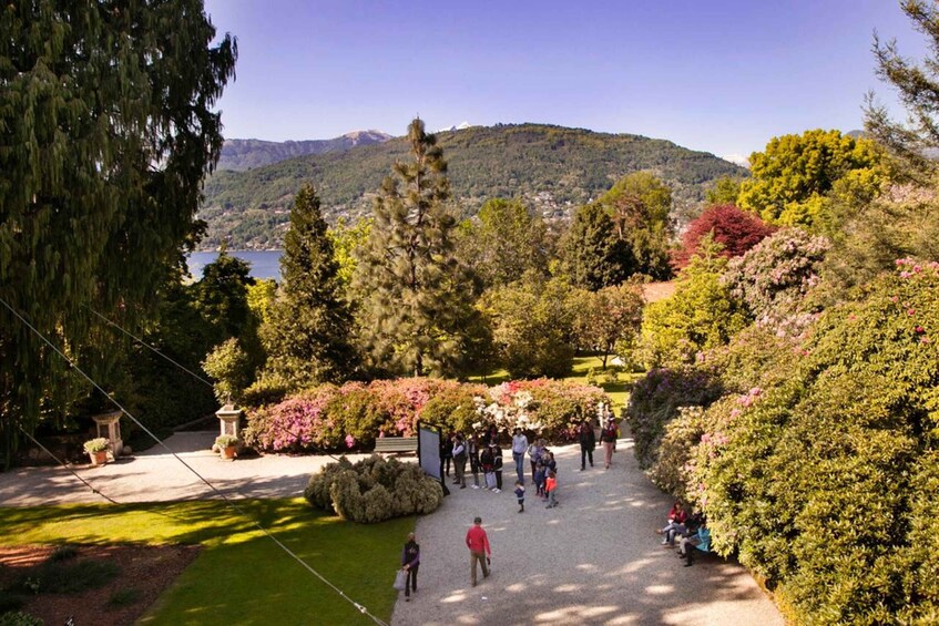 Picture 8 for Activity From Milan: Lake Maggiore Day Trip with Borromean Islands 4