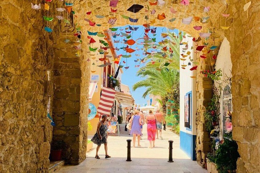 From Albir and Benidorm Tabarca Island Day Trip by Coach 1