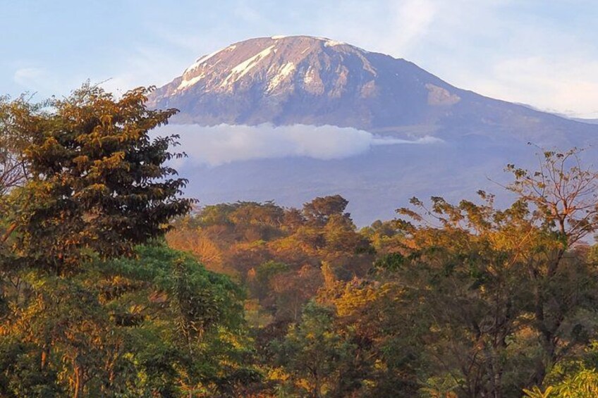 Roast coffee and tour a chagga owned coffee farm 2