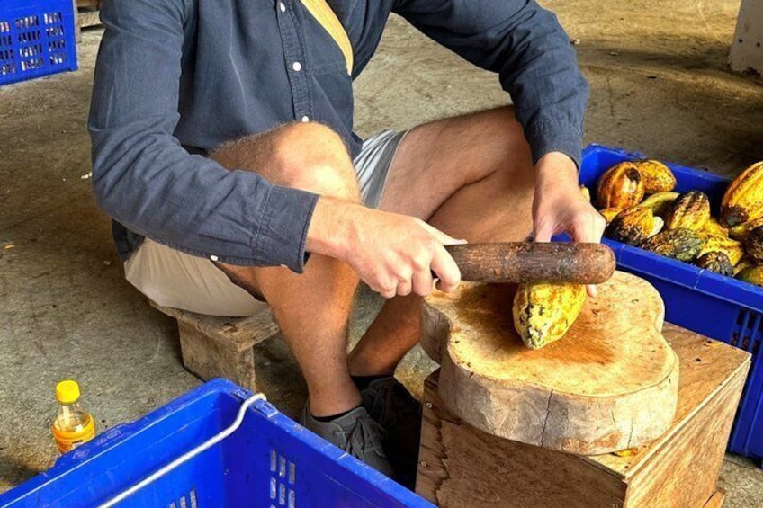 A person using a hammer to crack open a nut on a wooden stump. 1
