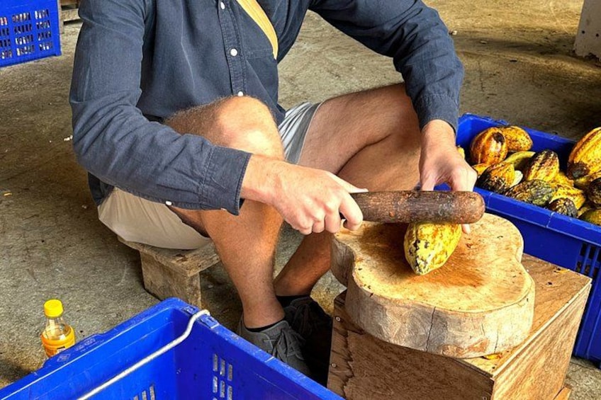 A person using a hammer to break open a squash on a wooden stump. 1